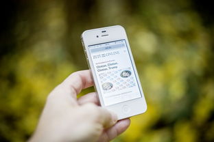 智能化体育测评系统开发与适用性分析，体育考试智能化测试仪器